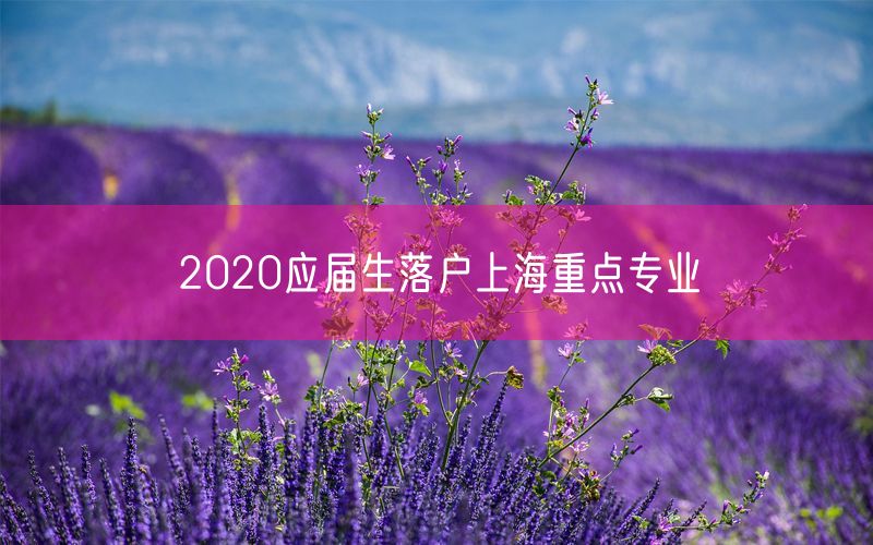 2020应届生落户上海重点专业