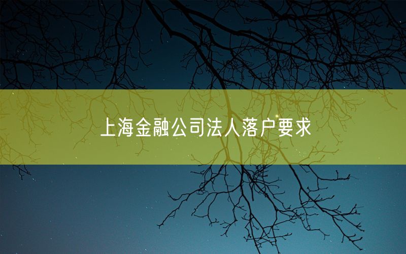 上海金融公司法人落户要求