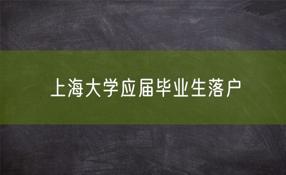 上海大学应届毕业生落户