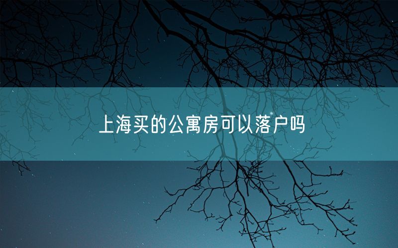 上海买的公寓房可以落户吗