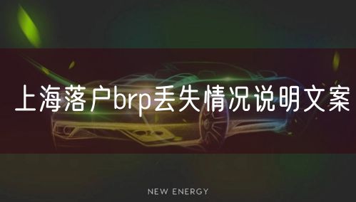 上海落户brp丢失情况说明文案