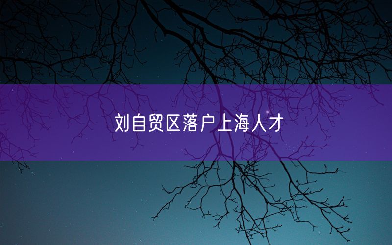 刘自贸区落户上海人才