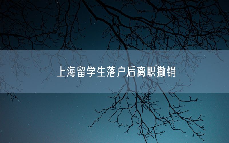 上海留学生落户后离职撤销