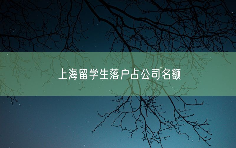 上海留学生落户占公司名额