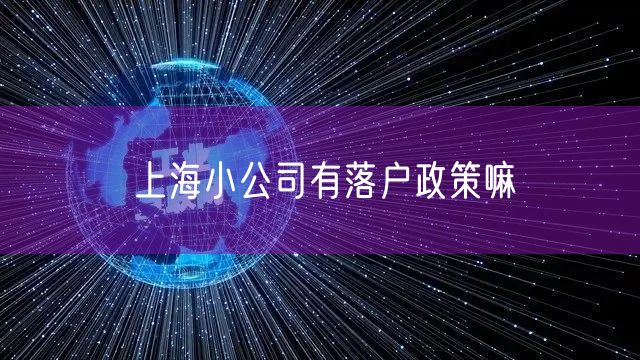 上海小公司有落户政策嘛