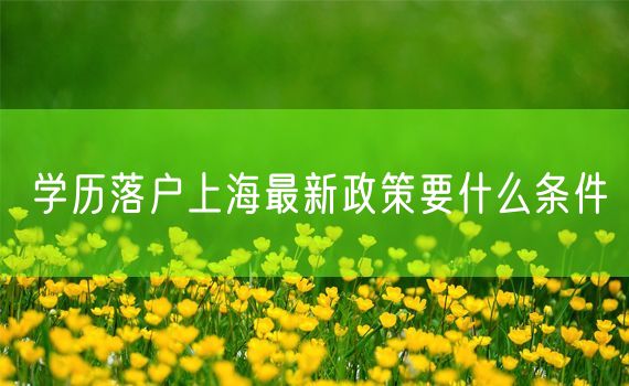 学历落户上海最新政策要什么条件