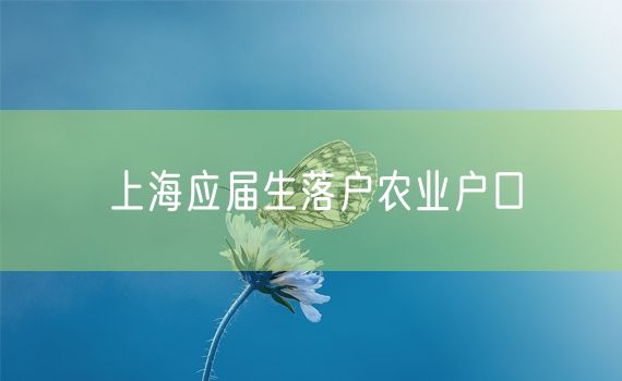 上海应届生落户农业户口