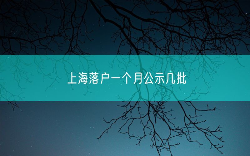 上海落户一个月公示几批