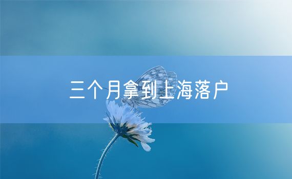 三个月拿到上海落户