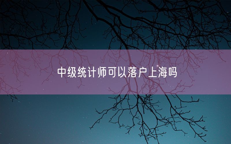 中级统计师可以落户上海吗