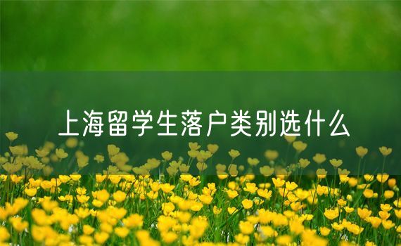 上海留学生落户类别选什么