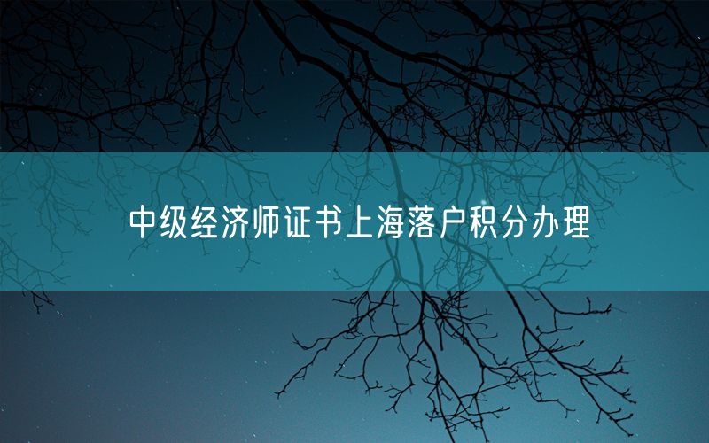 中级经济师证书上海落户积分办理