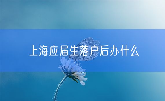 上海应届生落户后办什么