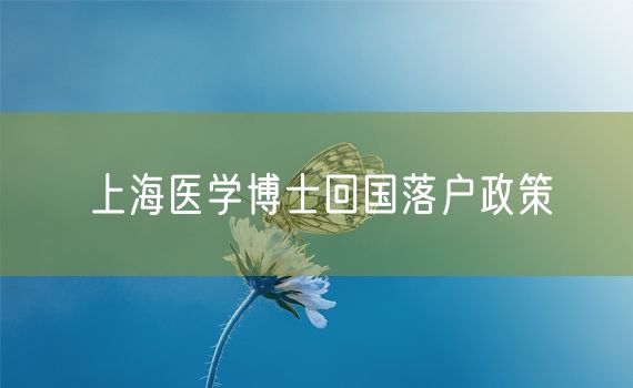 上海医学博士回国落户政策