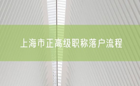 上海市正高级职称落户流程