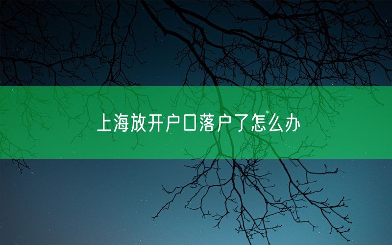 上海放开户口落户了怎么办