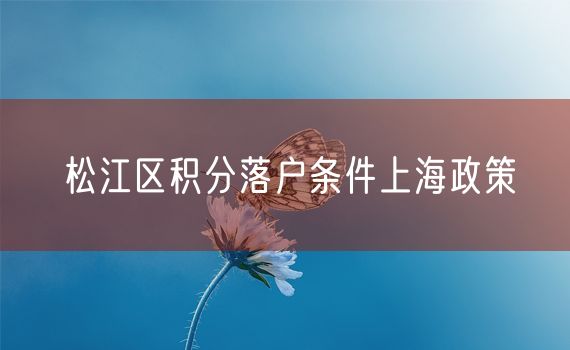 松江区积分落户条件上海政策