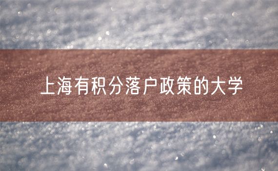 上海有积分落户政策的大学