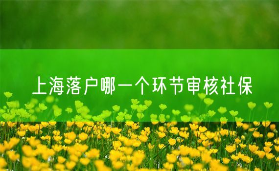 上海落户哪一个环节审核社保