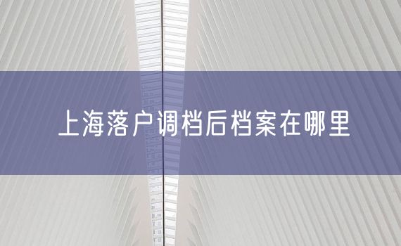 上海落户调档后档案在哪里