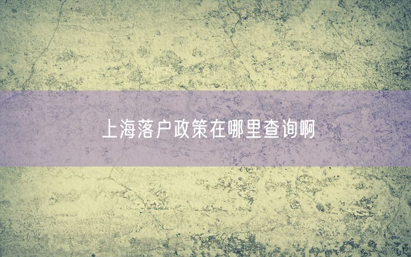 上海落户政策在哪里查询啊