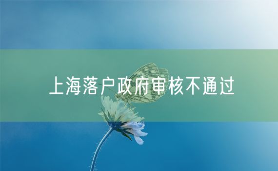 上海落户政府审核不通过