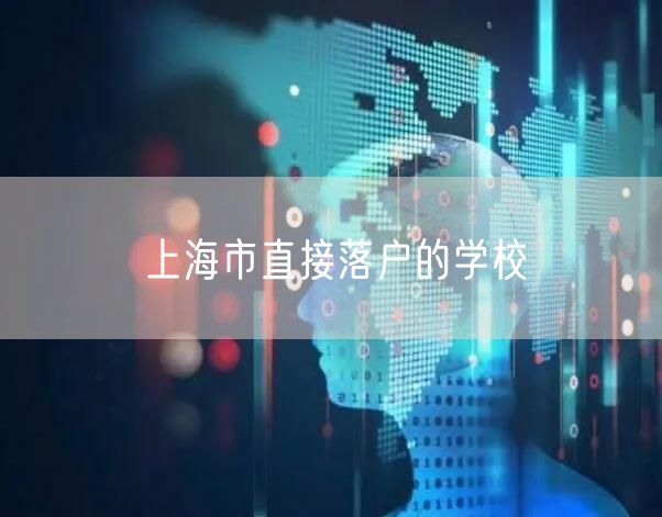 上海市直接落户的学校