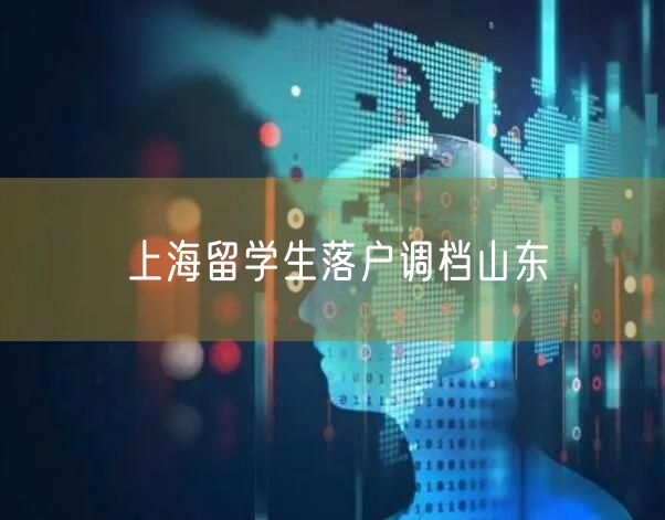 上海留学生落户调档山东