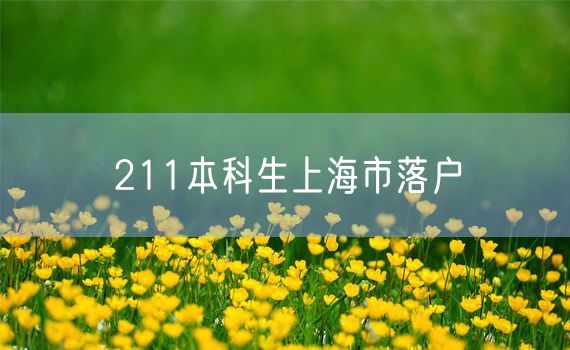 211本科生上海市落户