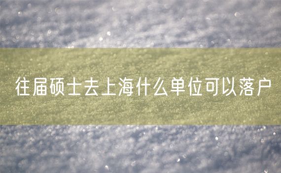 往届硕士去上海什么单位可以落户