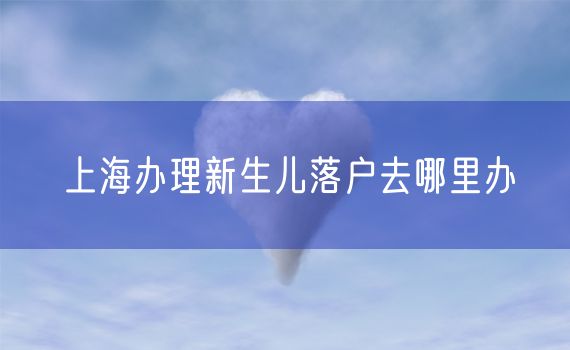 上海办理新生儿落户去哪里办