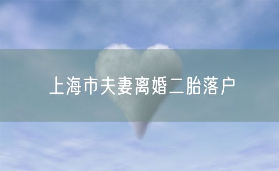 上海市夫妻离婚二胎落户