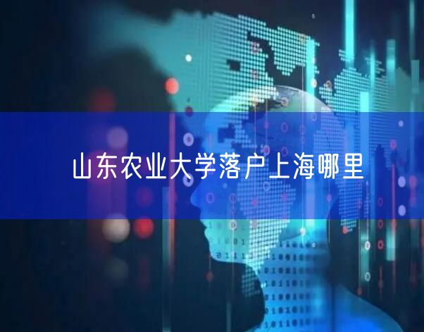 山东农业大学落户上海哪里