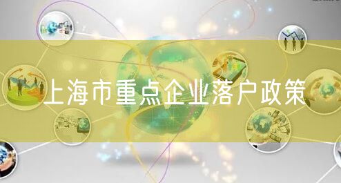 上海市重点企业落户政策