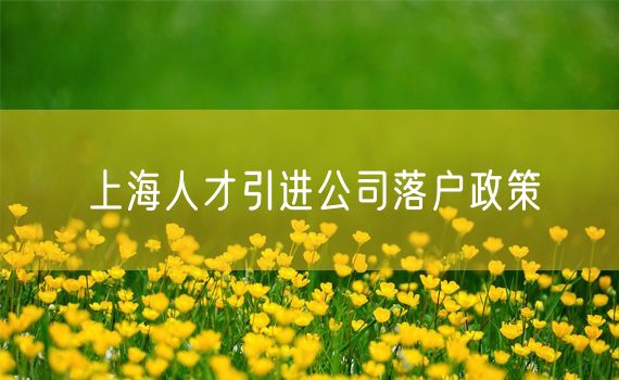 上海人才引进公司落户政策