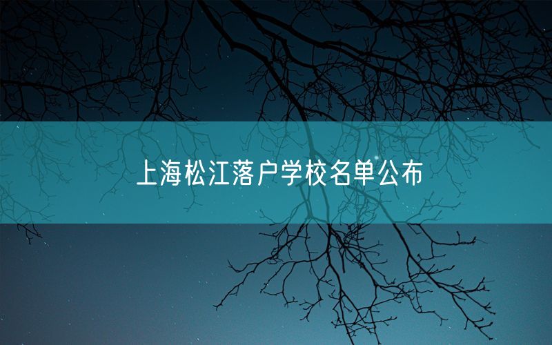 上海松江落户学校名单公布