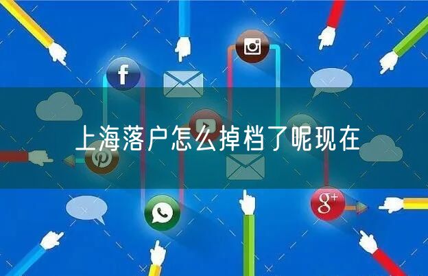 上海落户怎么掉档了呢现在