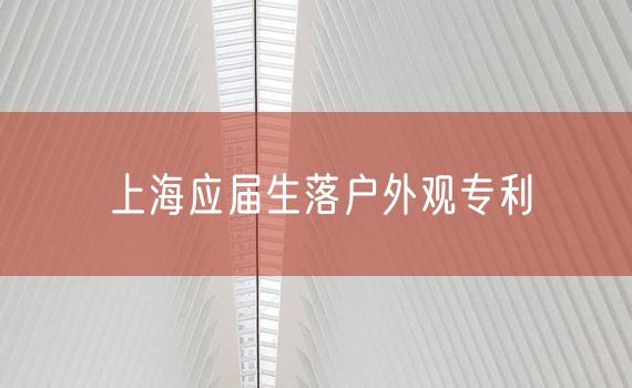 上海应届生落户外观专利