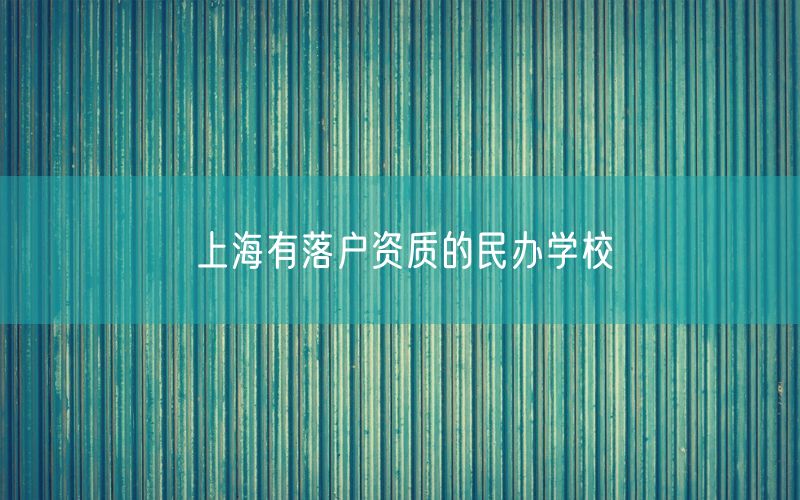 上海有落户资质的民办学校