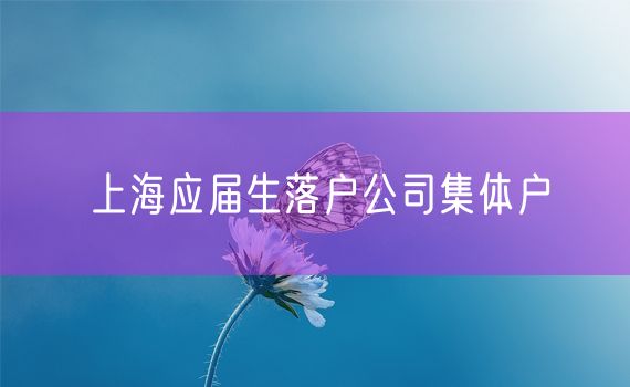 上海应届生落户公司集体户