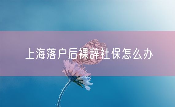 上海落户后裸辞社保怎么办