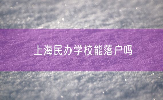 上海民办学校能落户吗