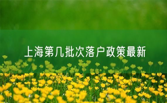 上海第几批次落户政策最新