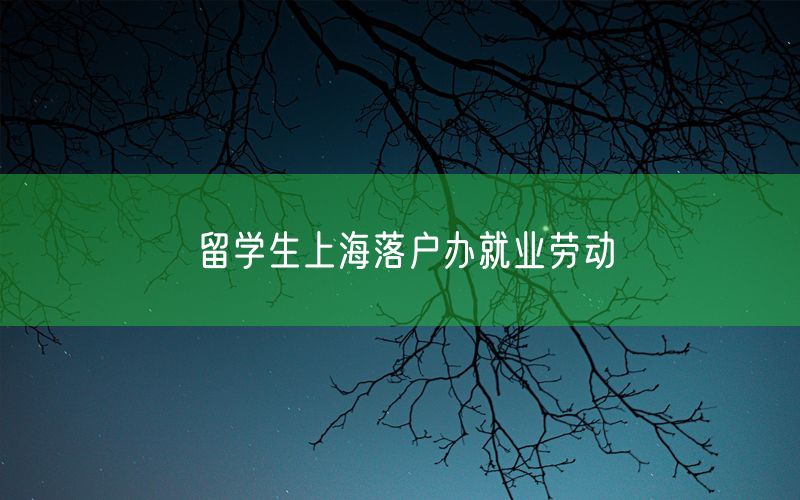 留学生上海落户办就业劳动