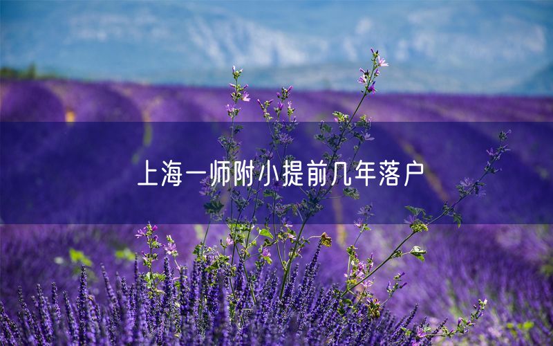 上海一师附小提前几年落户