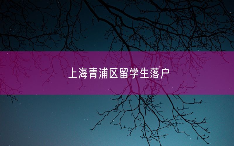 上海青浦区留学生落户