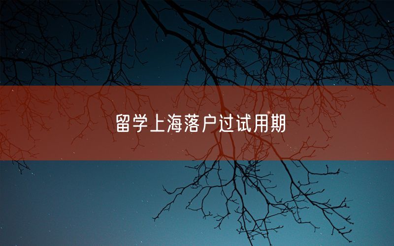 留学上海落户过试用期