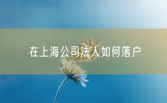 在上海公司法人如何落户