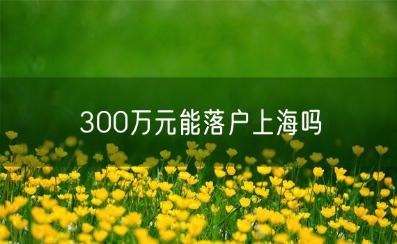 300万元能落户上海吗