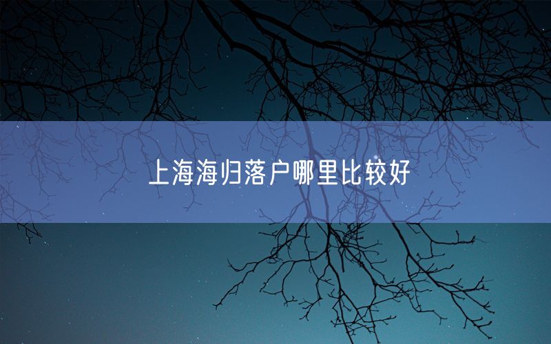 上海海归落户哪里比较好